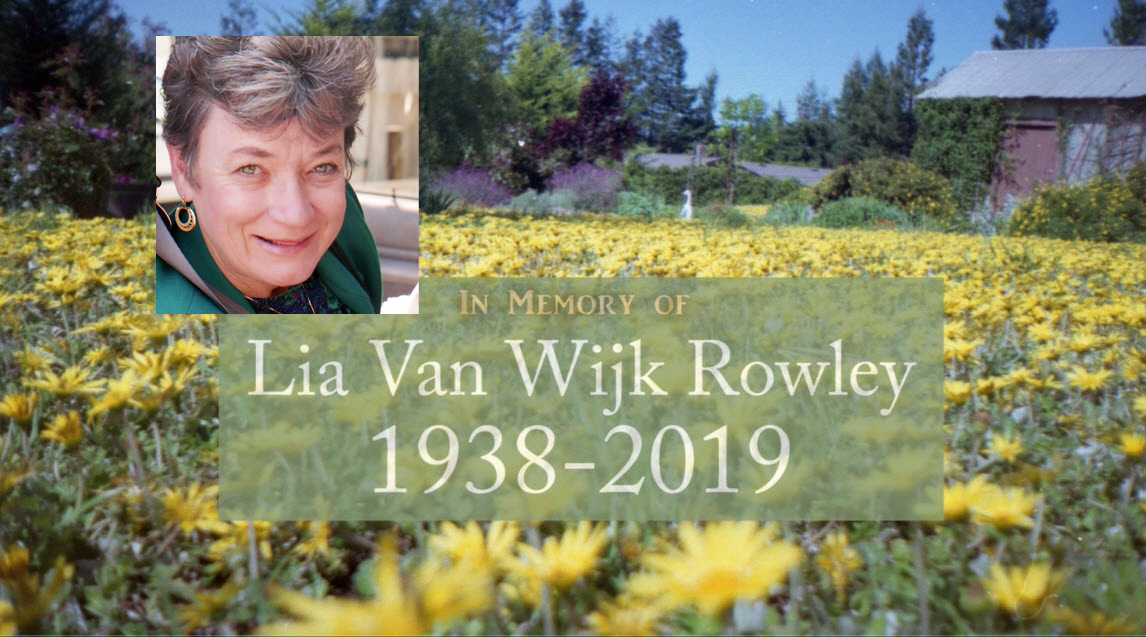 Lia Rowley Life Video 